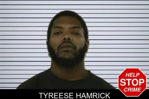 Tyreese Hamrick mugshot