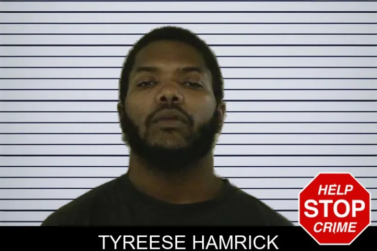 Tyreese Hamrick mugshot – Liberty County , Georgia Tyreese Hamrick