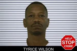 Tyrice Wilson mugshot