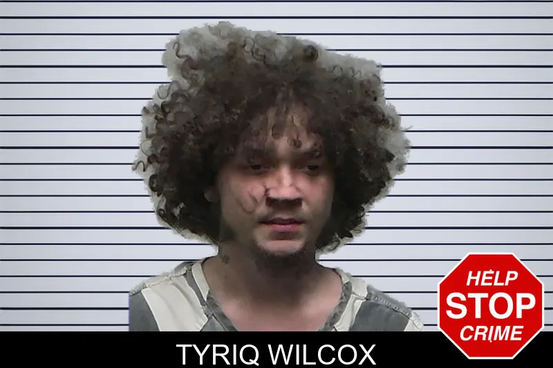 Tyriq Wilcox mugshot – Tift County , Georgia Tyriq Wilcox mugshot