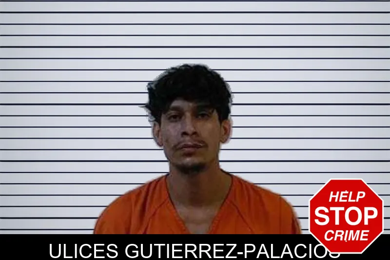 Ulices Gutierrez-Palacios mugshot