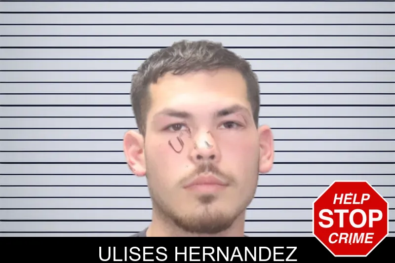 Ulises Hernandez mugshot
