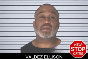 Valdez Ellison mugshot