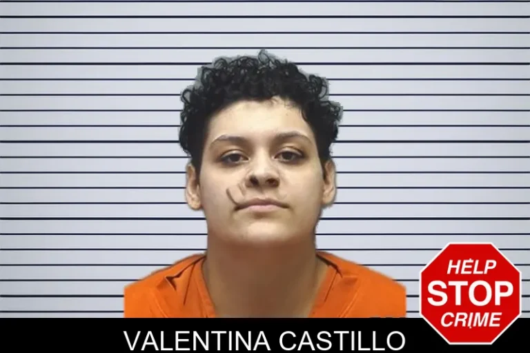 Valentina Castillo mugshot – Cherokee County , Georgia Valentina Castillo