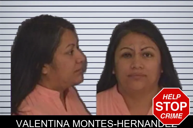 Valentina Montes-Hernandez mugshot