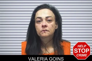 Valeria Goins mugshot