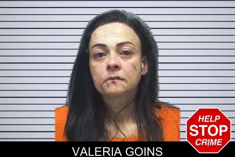 Valeria Goins mugshot – Cherokee County , Georgia Valeria Goins