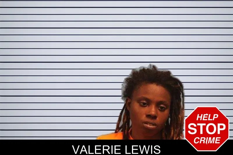 Valerie Lewis mugshot