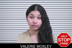 Valerie Mosley mugshot