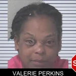 Valerie Perkins mugshot