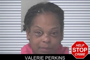 Valerie Perkins mugshot