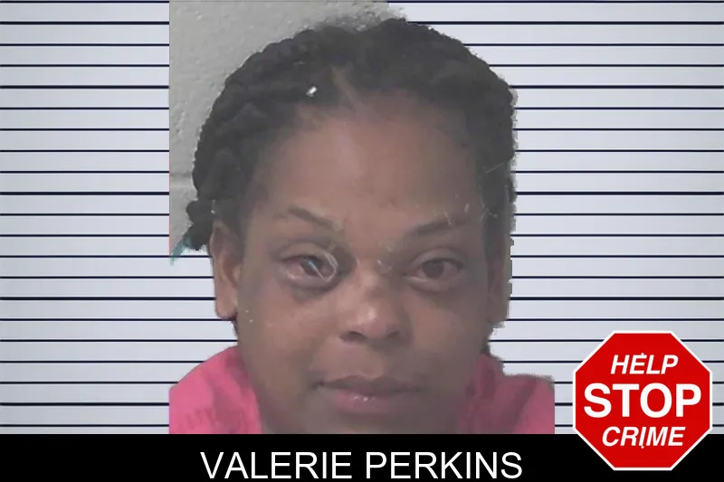 Valerie Perkins mugshot
