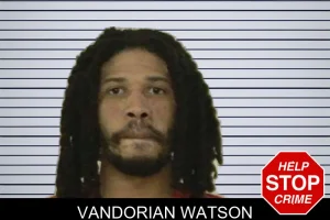 Vandorian Watson mugshot