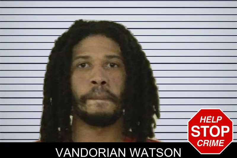 Vandorian Watson mugshot