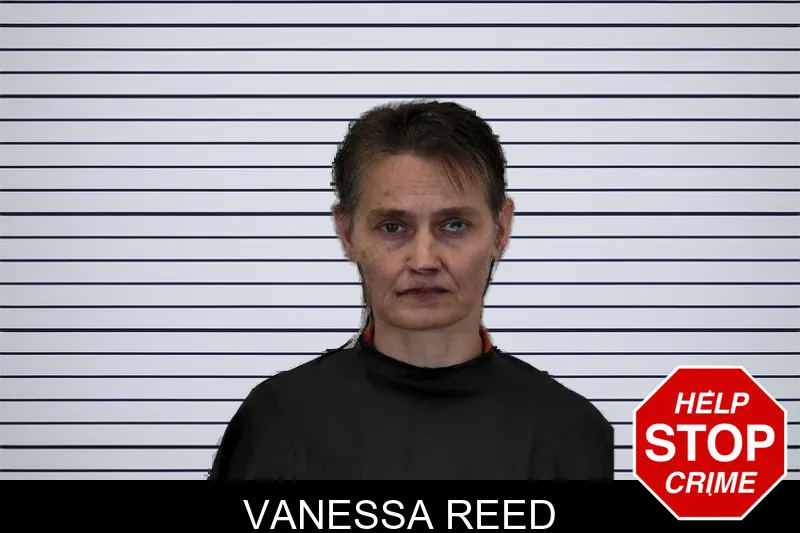 Vanessa Reed mugshot