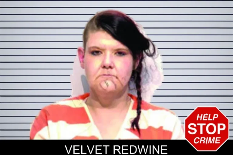 Velvet Redwine mugshot – Bartow County , Georgia Velvet Redwine