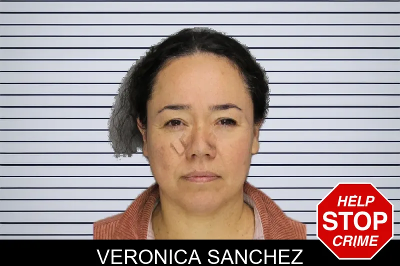 Veronica Sanchez mugshot