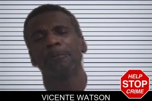 Vicente Watson mugshot