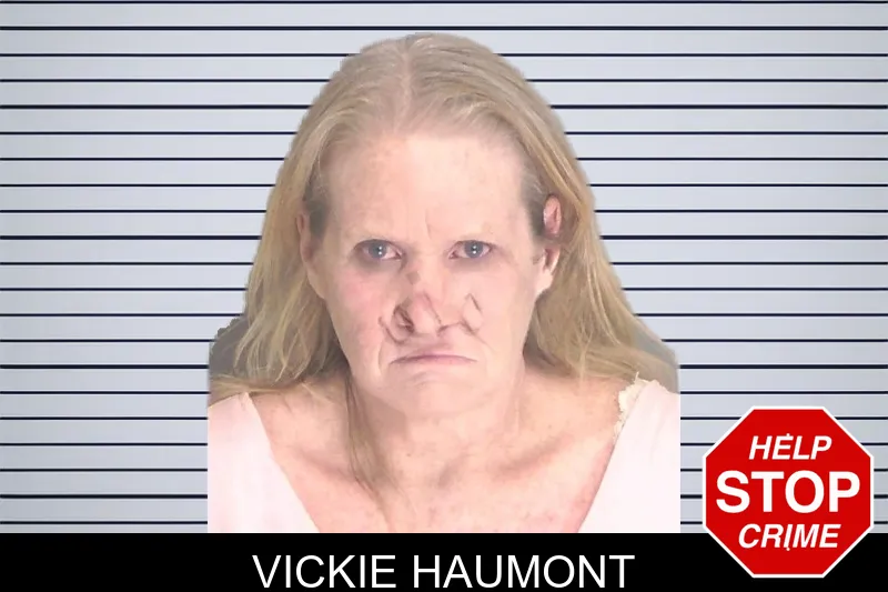 Vickie Haumont mugshot – Douglas County , Georgia Vickie Haumont mugshot