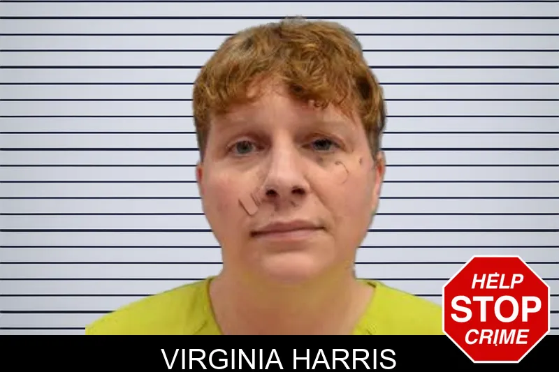 Virginia Harris mugshot