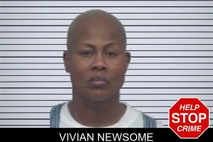 Vivian Newsome mugshot
