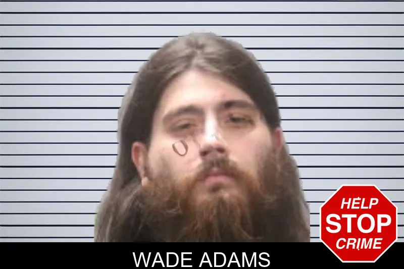 Wade Adams mugshot