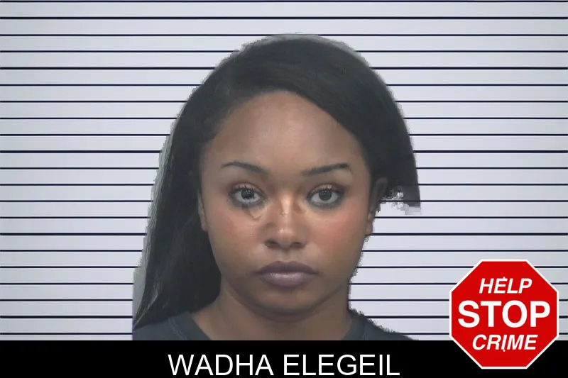 Wadha Elegeil mugshot