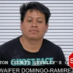 Waifer Domingo-Ramirez mugshot