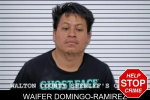Waifer Domingo-Ramirez mugshot