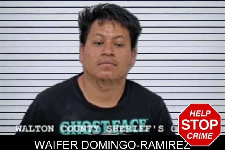 Waifer Domingo-Ramirez