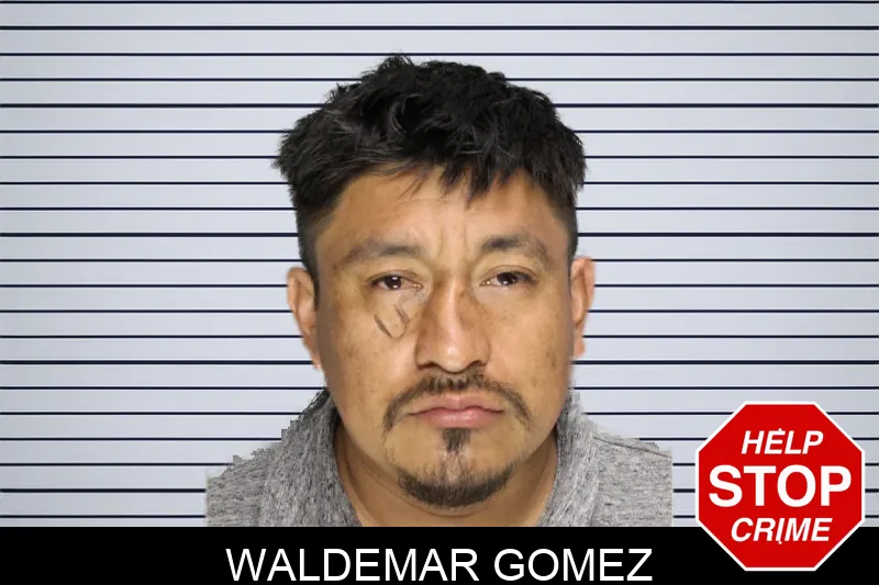 Waldemar Gomez mugshot