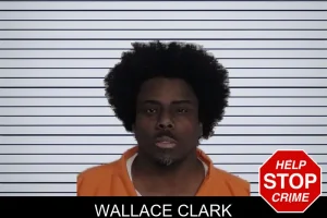 Wallace Clark mugshot