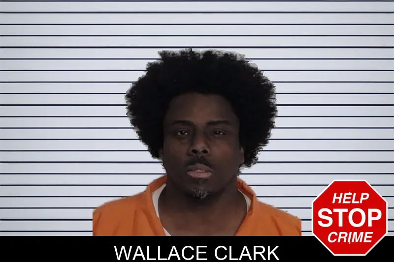 Wallace Clark mugshot – Rockdale County , Georgia Wallace Clark mugshot