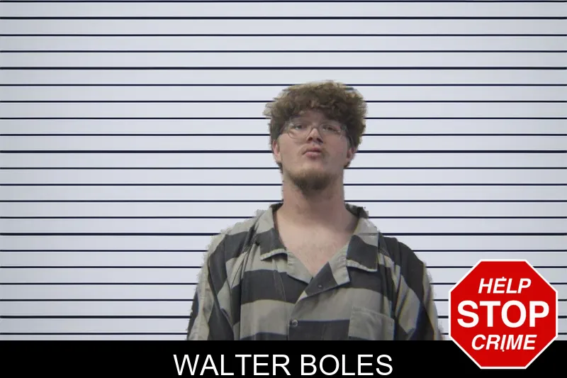 Walter Boles mugshot