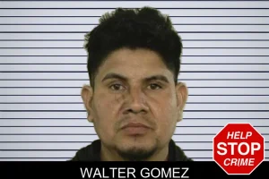 Walter Gomez mugshot