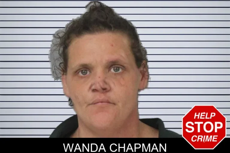Wanda Chapman mugshot – Mcintosh County , Georgia Wanda Chapman