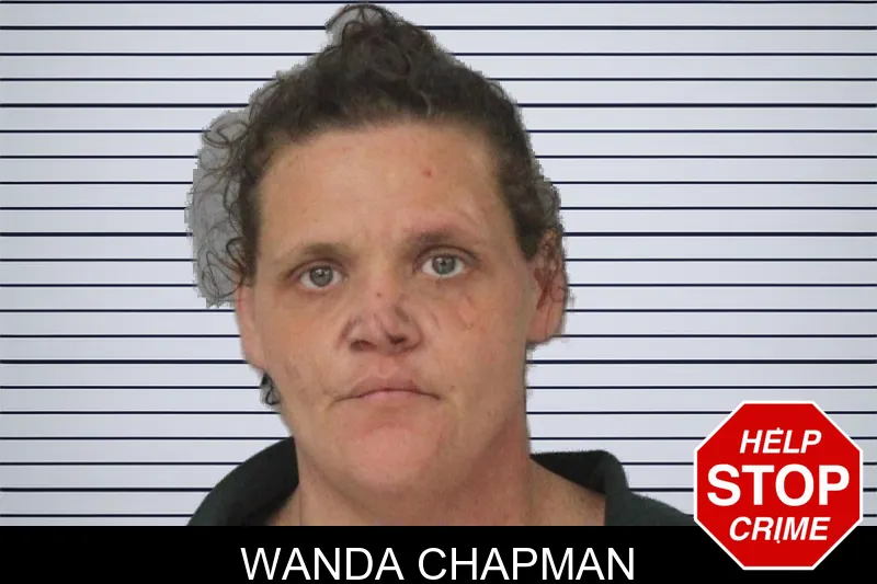 Wanda Chapman mugshot – Mcintosh County , Georgia Wanda Chapman mugshot