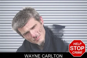 Wayne Carlton mugshot