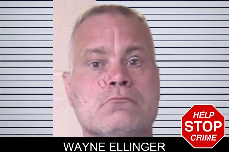 Wayne Ellinger mugshot – Walker County , Georgia Wayne Ellinger mugshot
