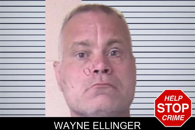 Wayne Ellinger mugshot – Walker County , Georgia Wayne Ellinger