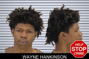 Wayne Hankinson mugshot