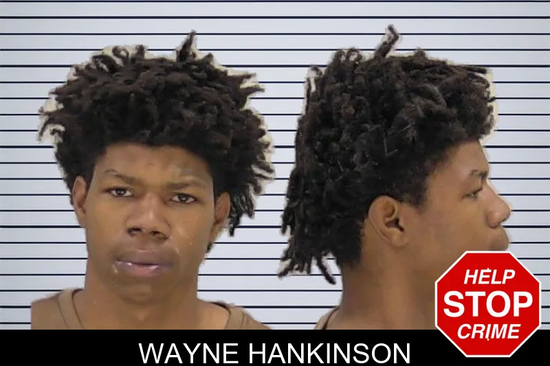 Wayne Hankinson mugshot