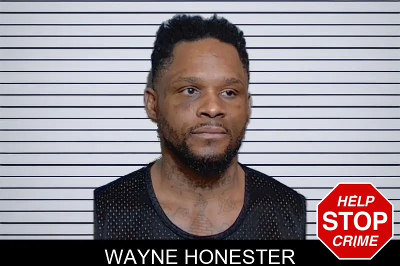 Wayne Honester mugshot – Glynn County , Georgia Wayne Honester mugshot