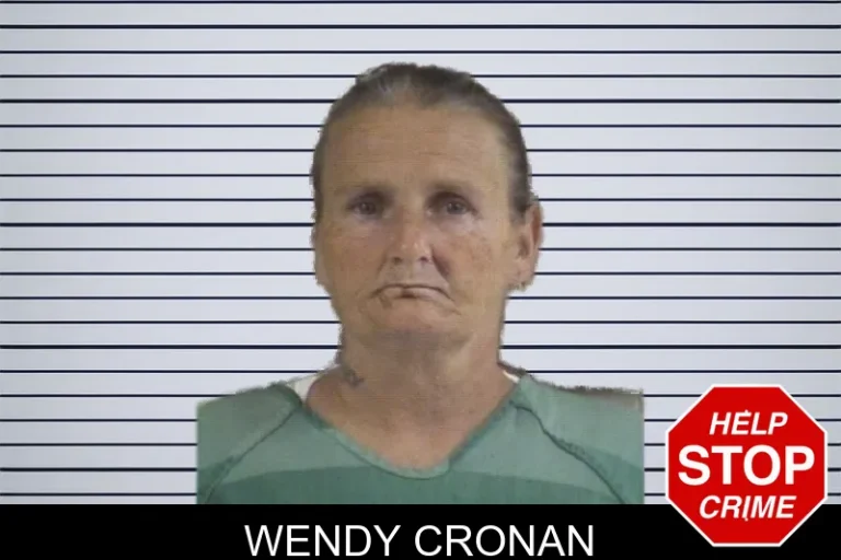 Wendy Cronan mugshot – Whitfield County , Georgia Wendy Cronan