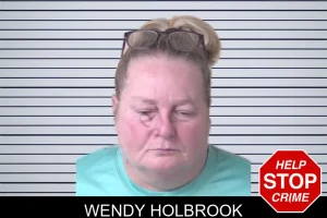 Wendy Holbrook mugshot
