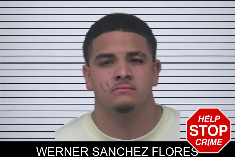 Werner Sanchez Flores mugshot