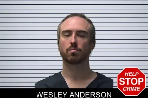 Wesley Anderson mugshot