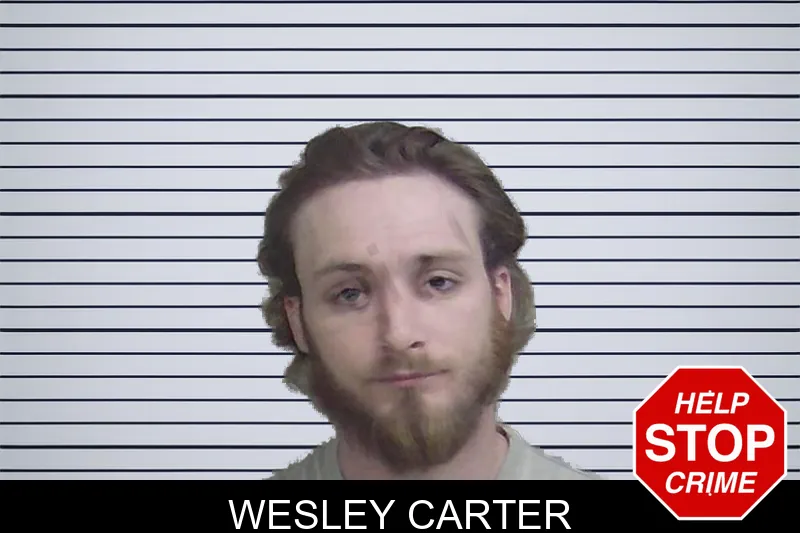 Wesley Carter mugshot – Wayne County , Georgia Wesley Carter mugshot