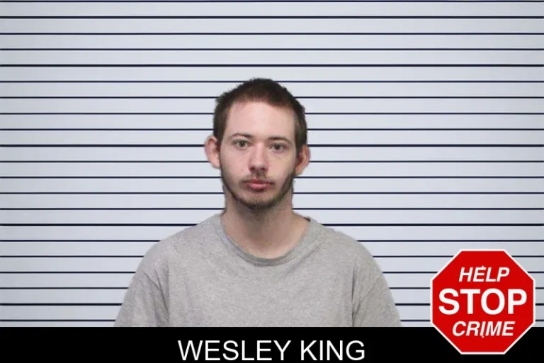 Wesley King mugshot – White County , Georgia Wesley King