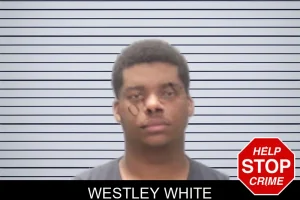 Westley White mugshot